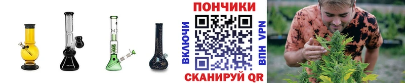 Купить Каннабис Галлюциногенные грибы Мефедрон КОКАИН Боготол