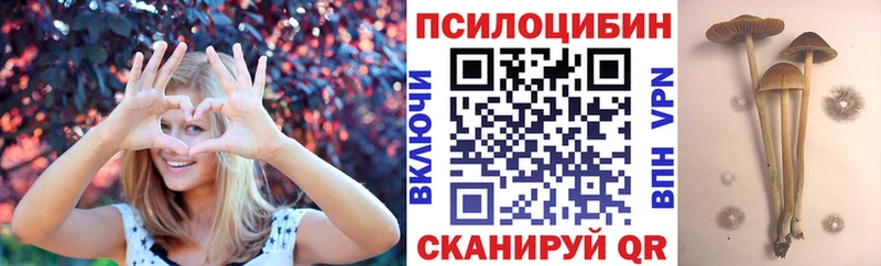 Купить закладки Боготол Галлюциногенные грибы MAGIC MUSHROOMS